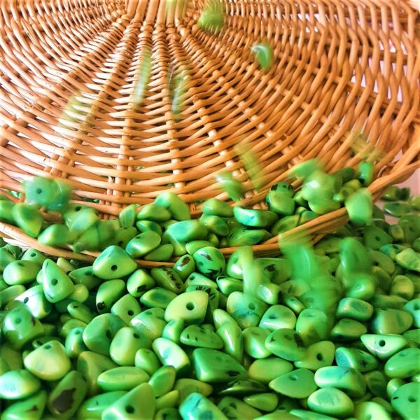 Jarina facettée vert