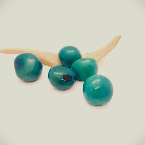 ivoire végétal /Jarina entière bleu turquoise – Image 3
