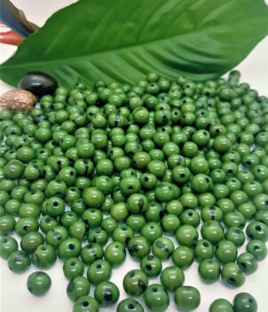 Açai vert feuille