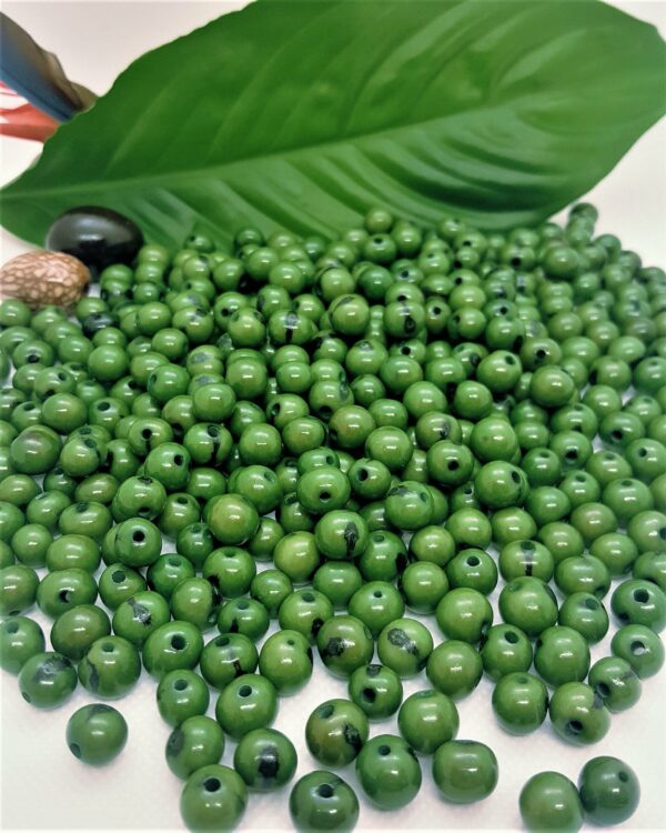 Açai vert feuille
